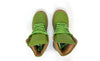 Terre Verte